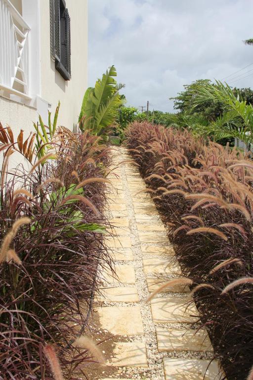 Lantana Resort Barbados By Island Villas Saint James Luaran gambar
